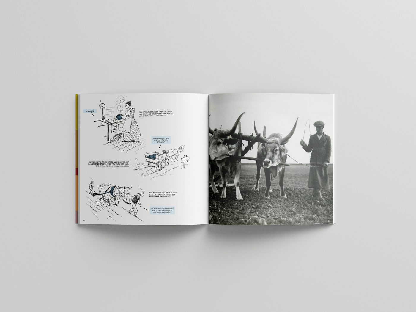 Publikation Das Burgenland